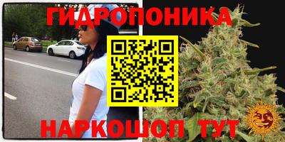 МДПВ Ирбит