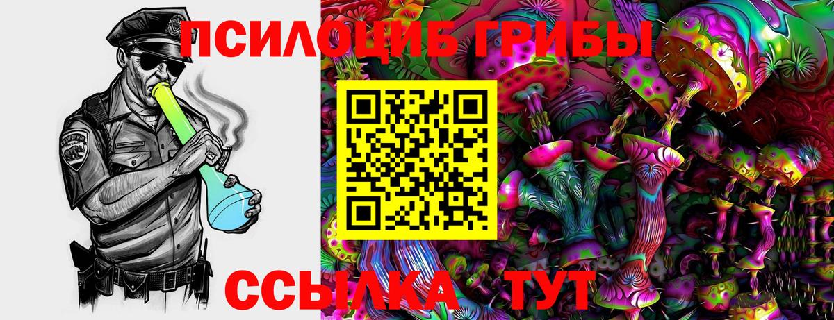 Псилоцибиновые грибы Psilocybine cubensis Лабытнанги