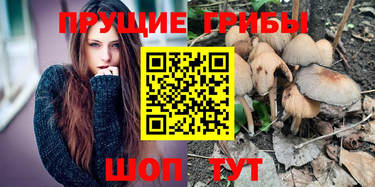 Лабытнанги  Псилоцибиновые грибы Cubensis  Вход с VPN 